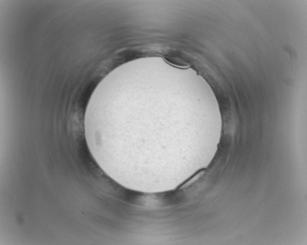 X0000115340425200911231437