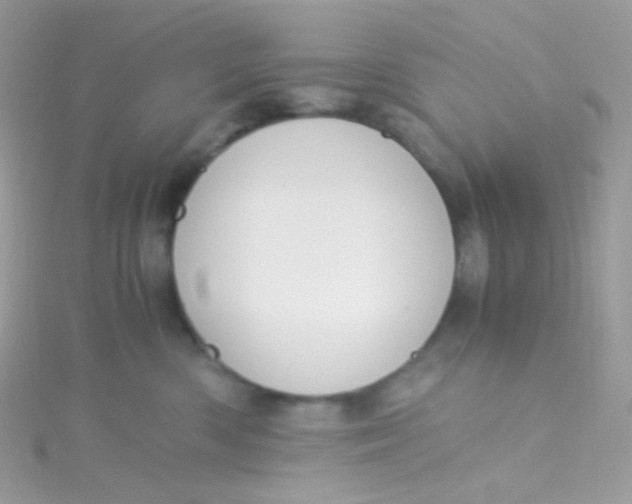 X0000115340426200911231437