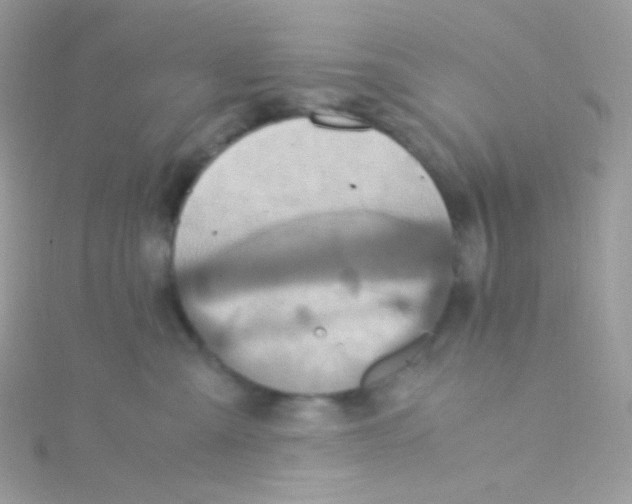 X0000115340427200911231437