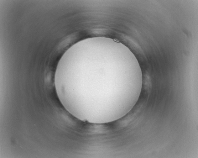 X0000115340428200911231437