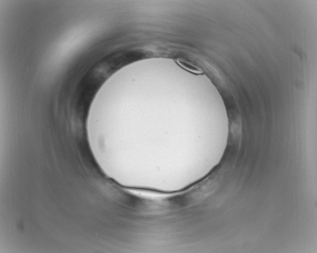 X0000115340429200911231437