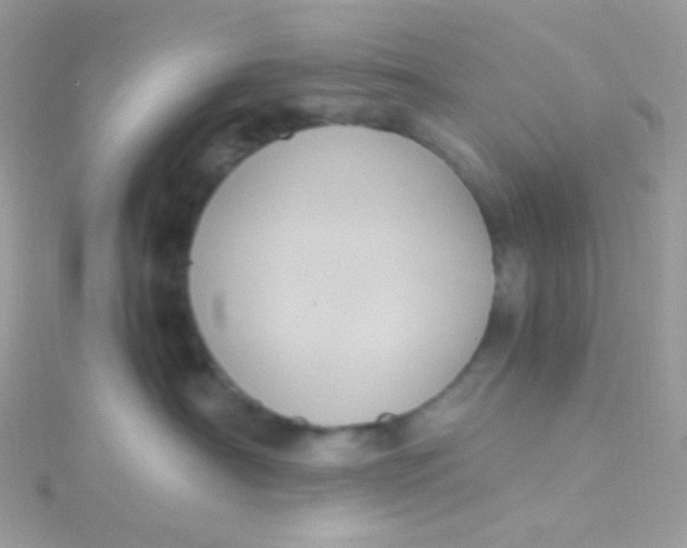 X0000115340430200911231437