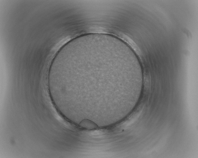 X0000115340433200911231436