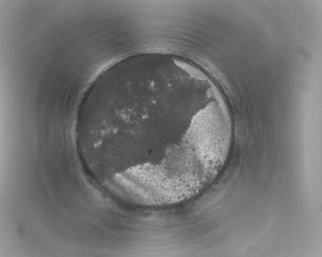 X0000115340434200911231436