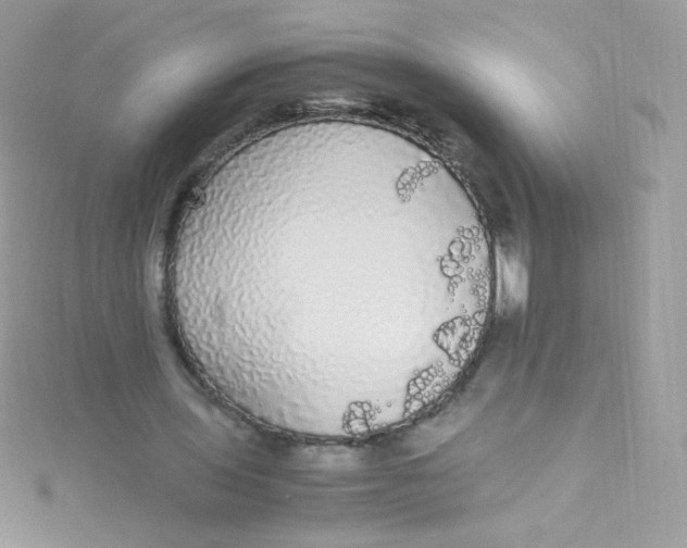 X0000115340435200911231436