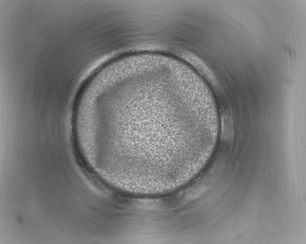 X0000115340436200911231436