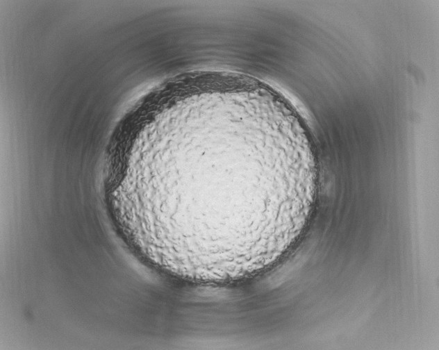 X0000115340437200911231436