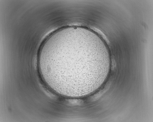 X0000115340439200911231436