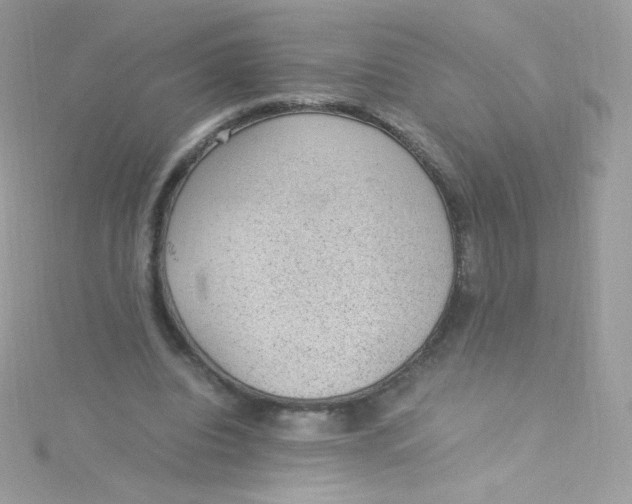 X0000115340440200911231436