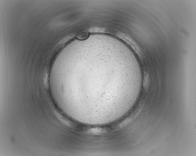 X0000115340441200911231436