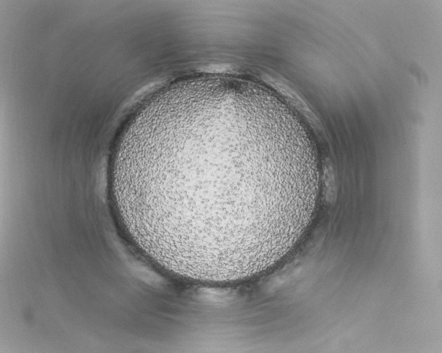 X0000115340442200911231436