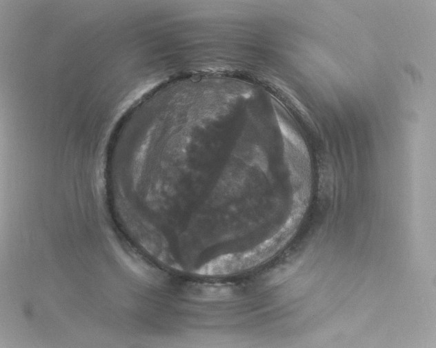 X0000115340443200911231436