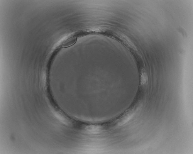 X0000115340444200911231436