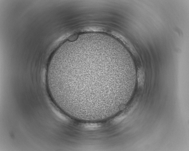 X0000115340445200911231436