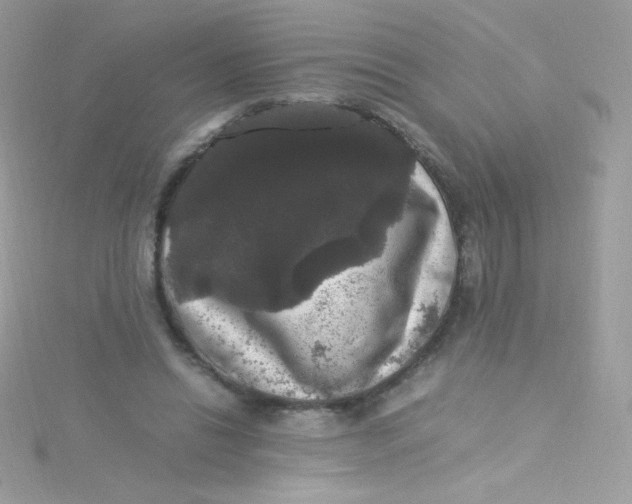 X0000115340446200911231436