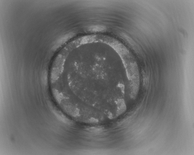 X0000115340447200911231436