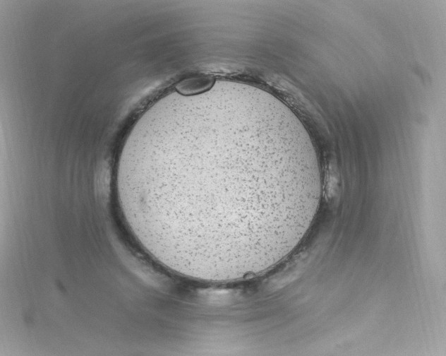 X0000115340448200911231436