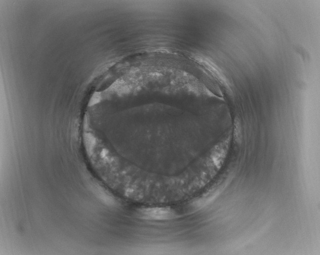 X0000115340449200911231436