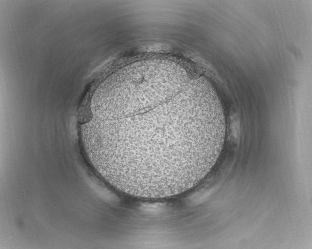 X0000115340450200911231436