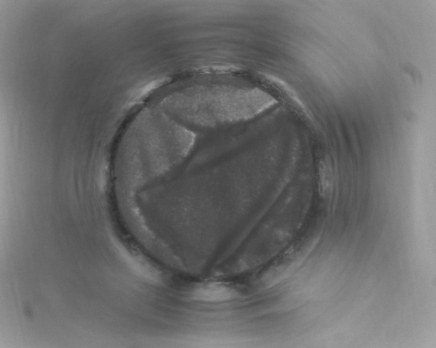 X0000115340451200911231436