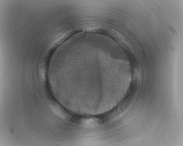 X0000115340452200911231436