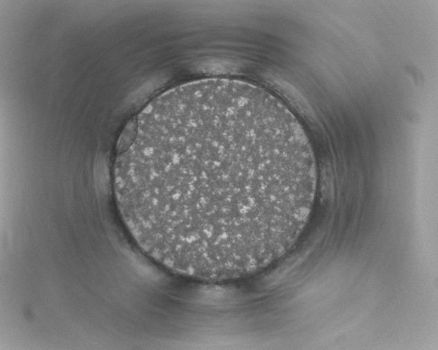 X0000115340453200911231436