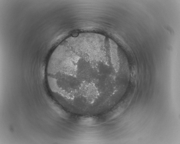 X0000115340454200911231436