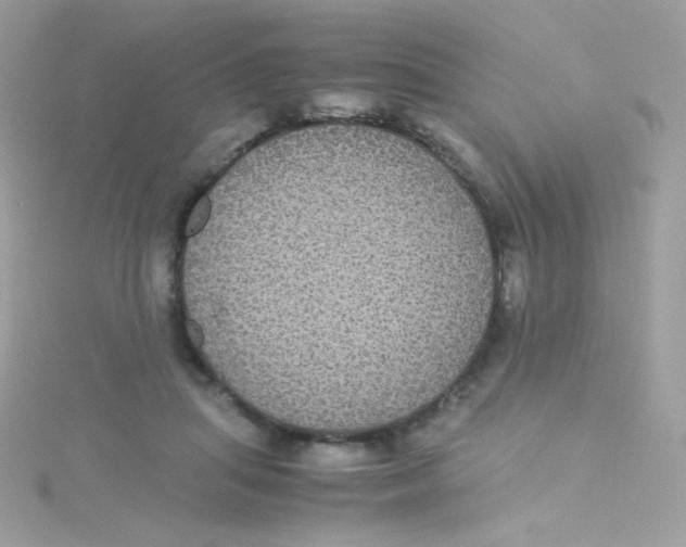 X0000115340455200911231436