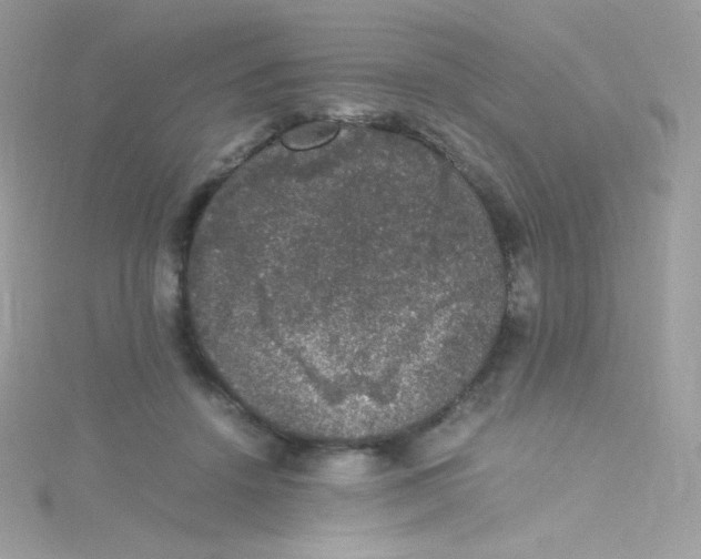 X0000115340456200911231436