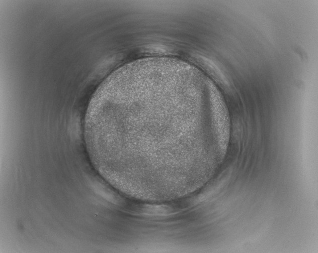 X0000115340457200911231436