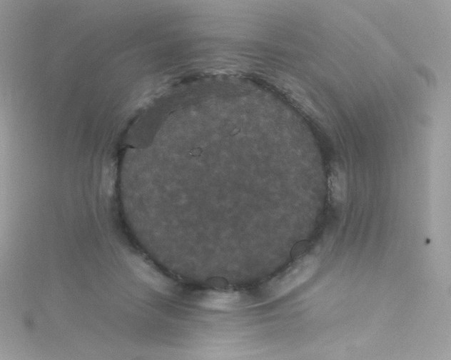 X0000115340458200911231436