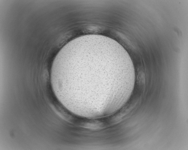 X0000115340459200911231436