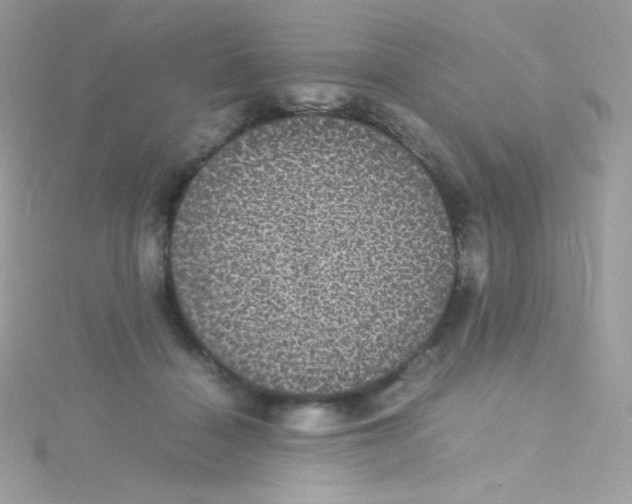 X0000115340460200911231436