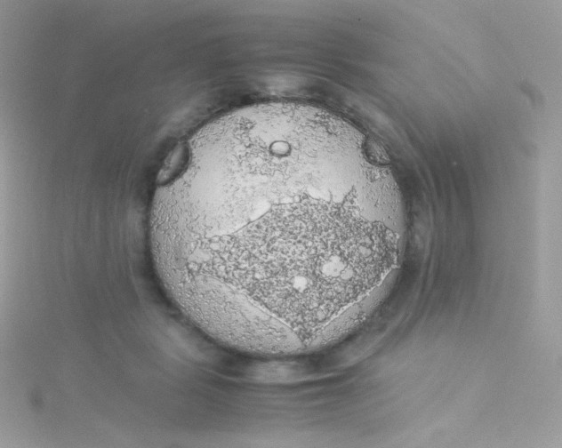 X0000115340461200911231436