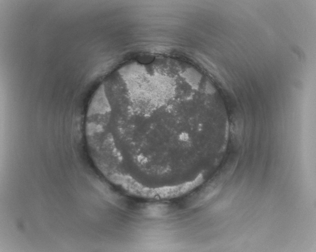 X0000115340462200911231436