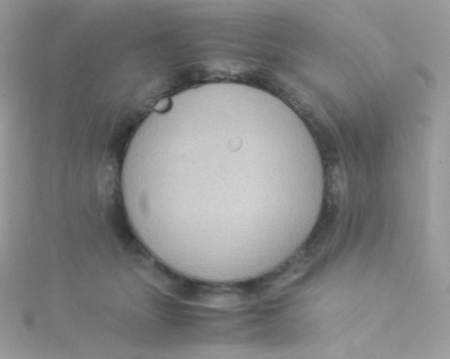 X0000115340463200911231436