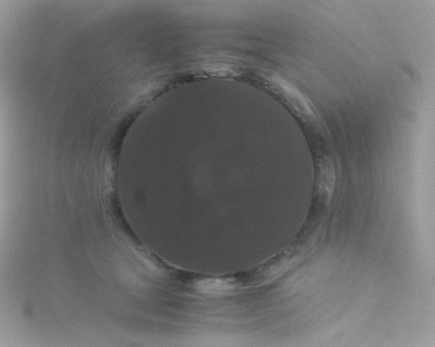 X0000115340465200911231436