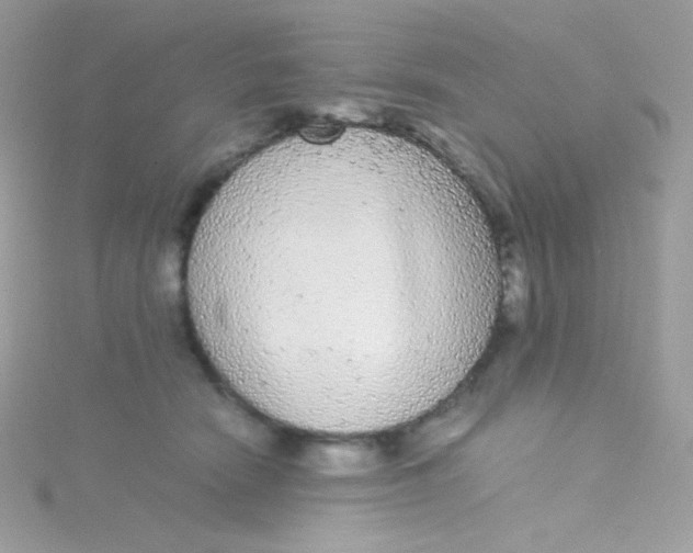 X0000115340466200911231436