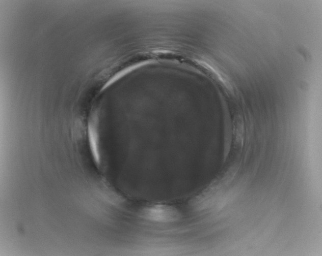 X0000115340467200911231437