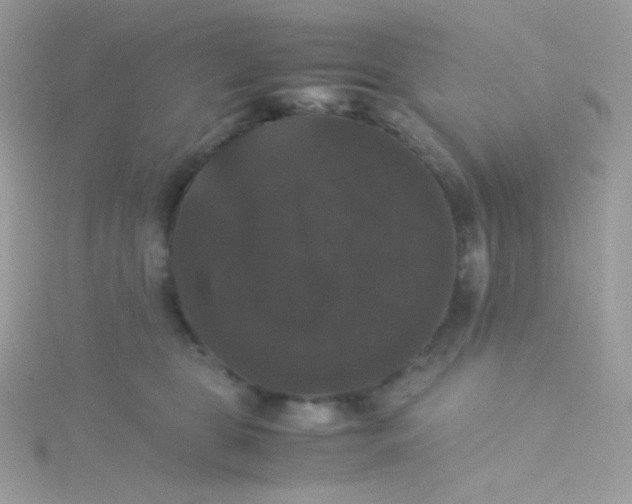 X0000115340469200911231437