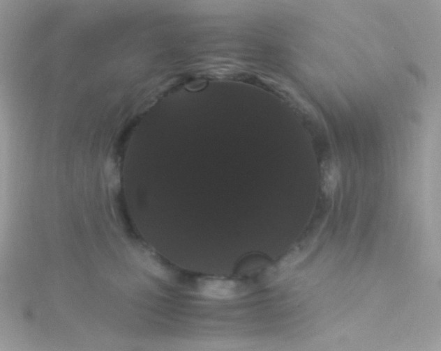 X0000115340471200911231437