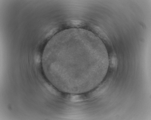 X0000115340472200911231437