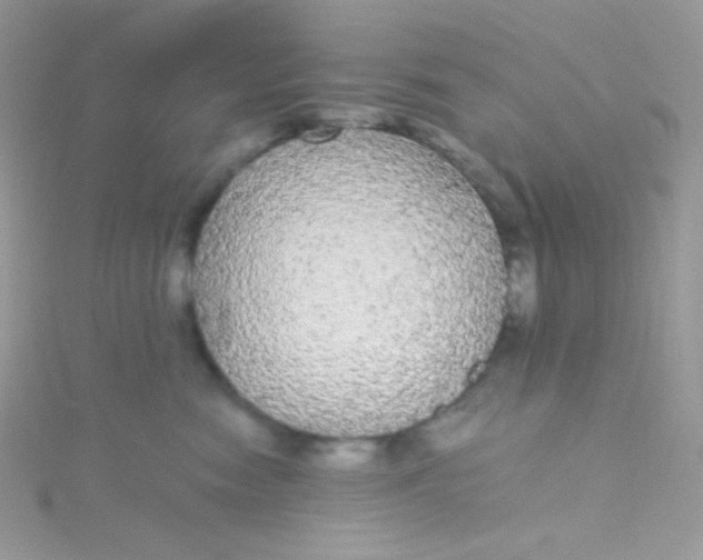 X0000115340474200911231437