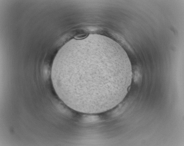 X0000115340476200911231437