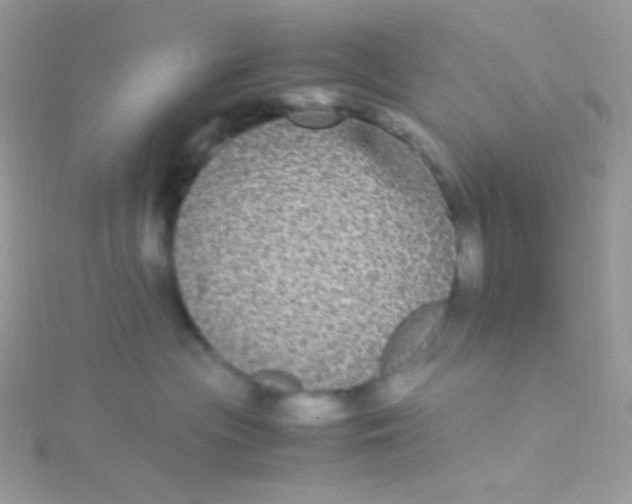 X0000115340477200911231437