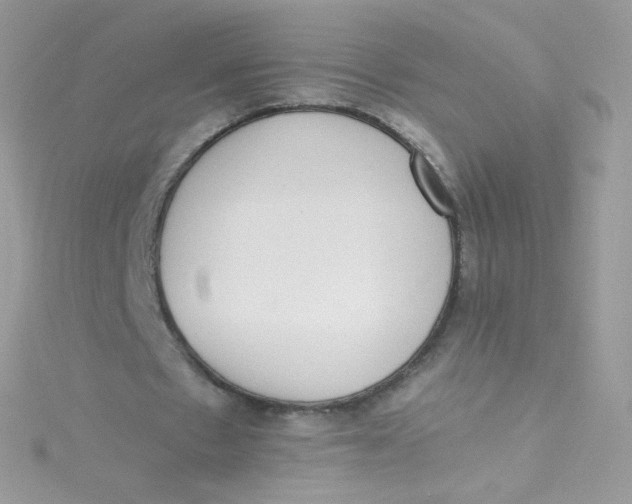 X0000115340481200911231436