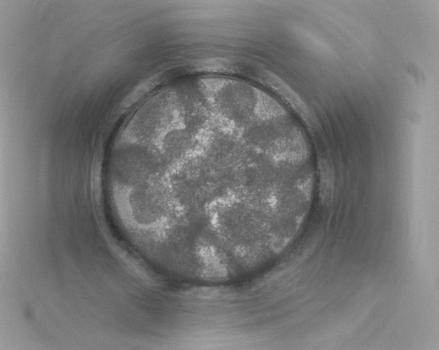 X0000115340482200911231436