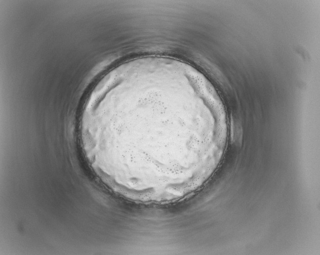 X0000115340483200911231436