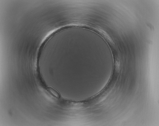 X0000115340484200911231436