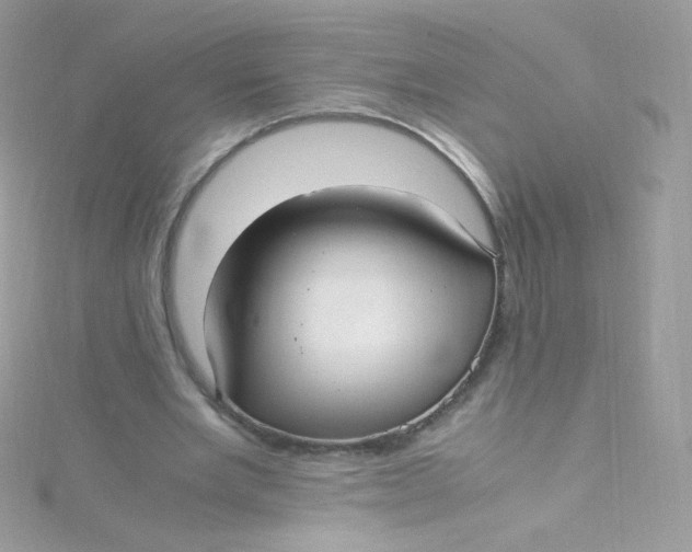 X0000115340485200911231436